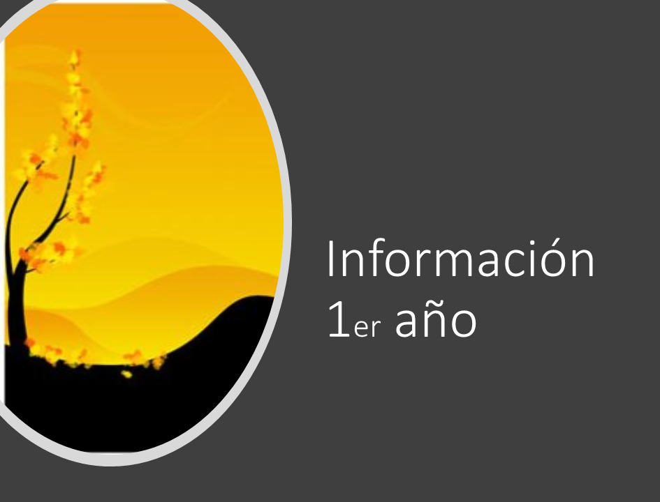 Información 1º año