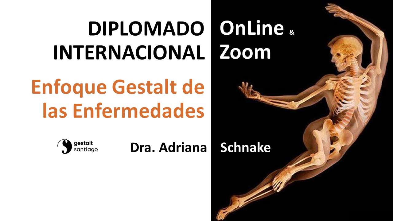 Módulo Diplomado Enfoque Internacional